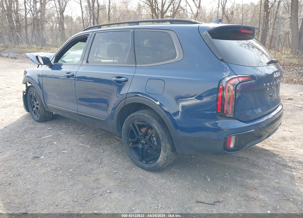 2024 KIA TELLURIDE EX X-LINE VIN: 5XYP3DGC7RG468876
