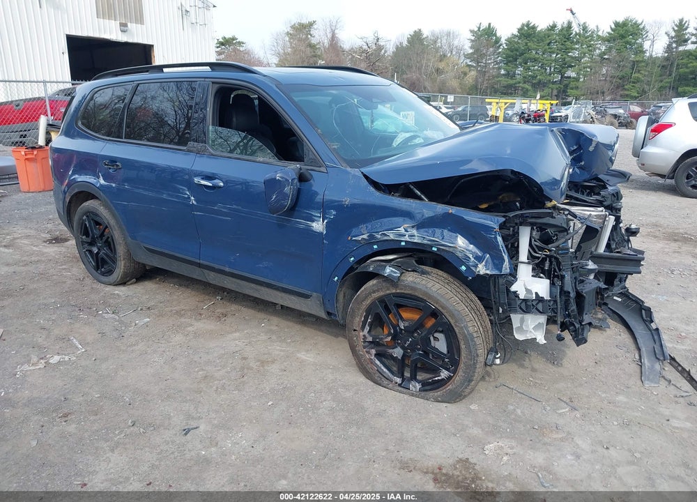 2024 KIA TELLURIDE EX X-LINE VIN: 5XYP3DGC7RG468876