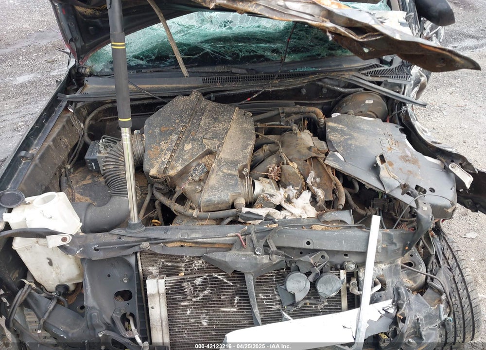 2007 TOYOTA TACOMA PRERUNNER V6 VIN: 5TETU62N27Z404652