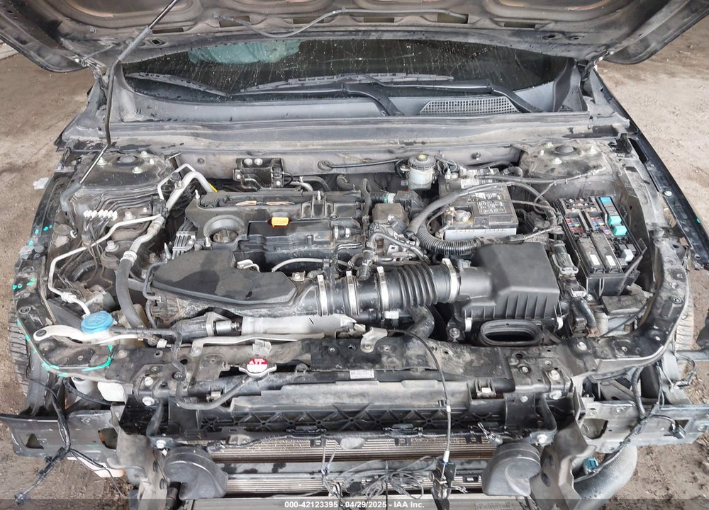 2019 HONDA ACCORD VIN: 1HGCV2F34KA014848