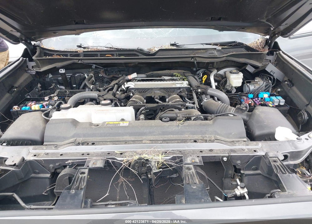 2024 TOYOTA TUNDRA VIN: 5TFLA5DB4RX145954