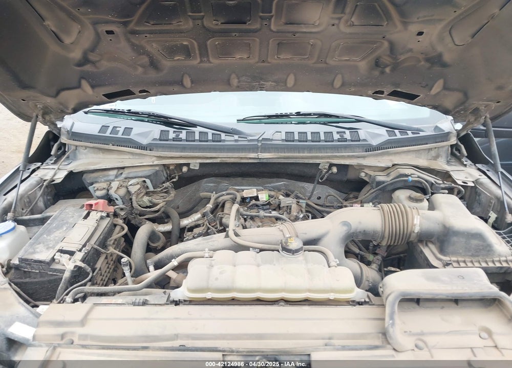 2019 FORD F-150 VIN: 1FTEW1EP8KKE80702
