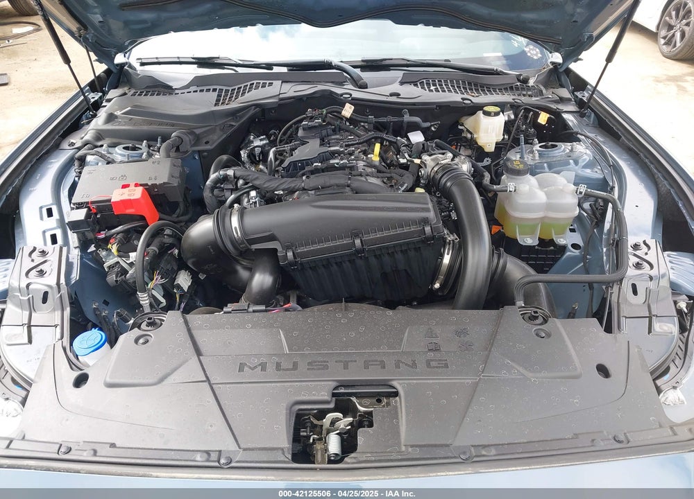 2025 FORD MUSTANG ECOBOOST FASTBACK VIN: 1FA6P8TH8S5101594