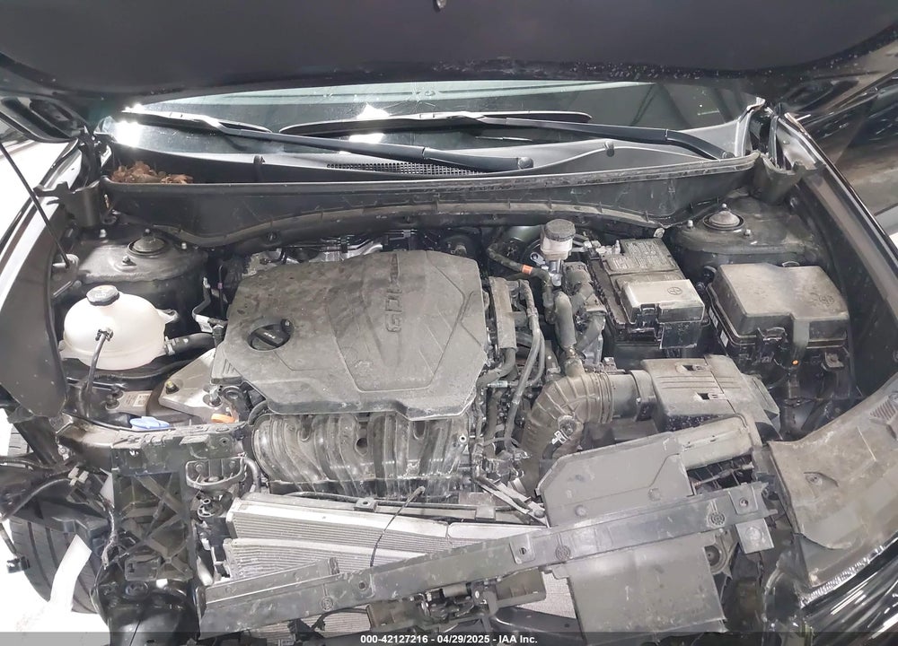 2024 HYUNDAI TUCSON VIN: 5NMJECDE5RH303687