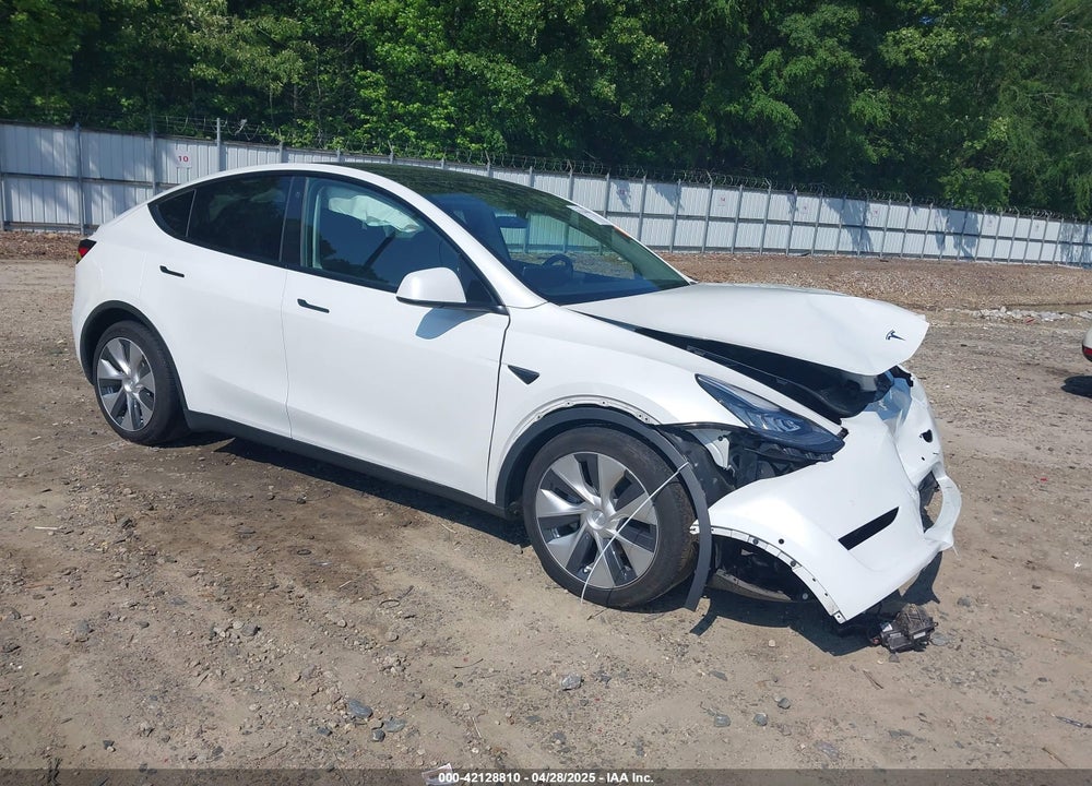 2021 TESLA MODEL Y STANDARD RANGE REAR-WHEEL DRIVE VIN: 5YJYGDED4MF192824