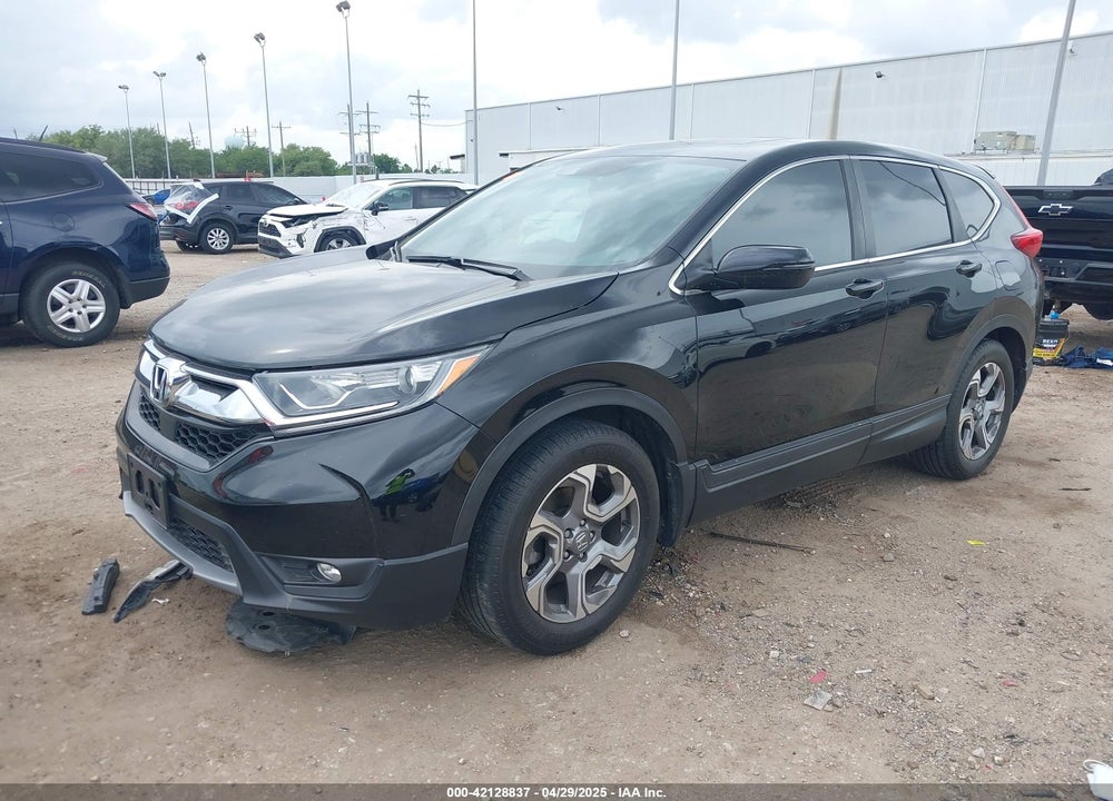 2019 HONDA CR-V VIN: 5J6RW1H80KA036459