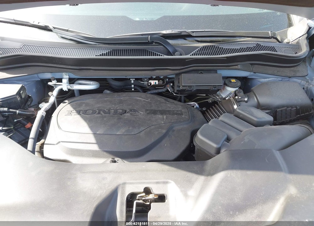 2024 HONDA PASSPORT VIN: 5FNYF8H55RB023059