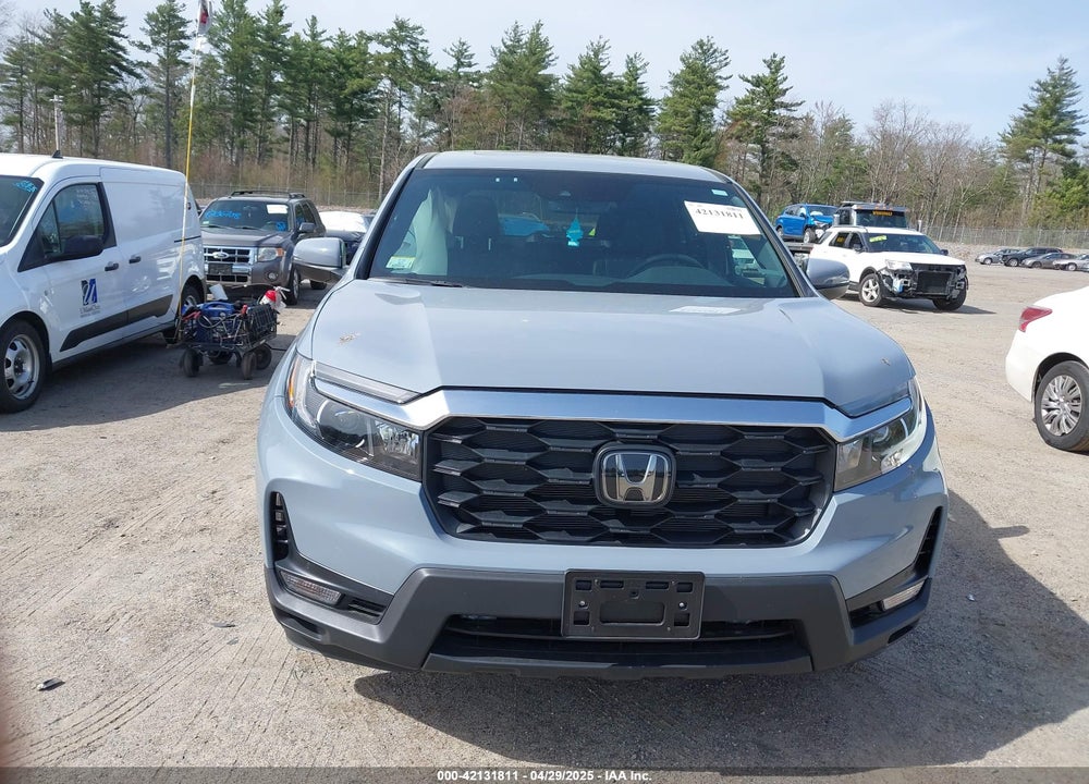 2024 HONDA PASSPORT VIN: 5FNYF8H55RB023059
