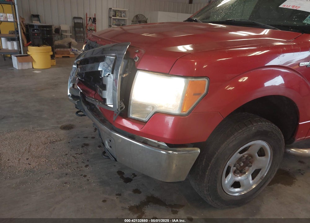 2010 FORD F-150 VIN: 1FTEW1E83AFA15244