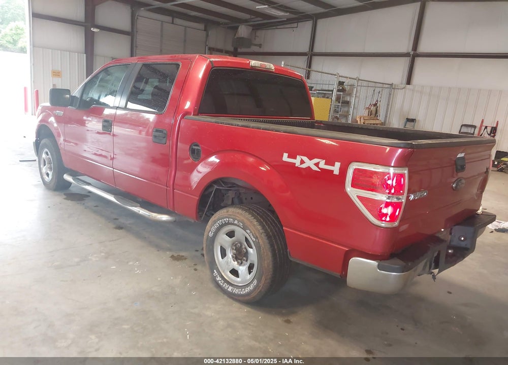 2010 FORD F-150 VIN: 1FTEW1E83AFA15244