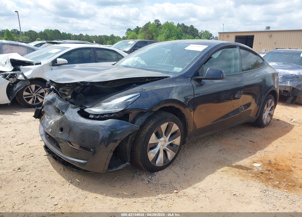 2024 TESLA MODEL Y VIN: 7SAYGDEE8RF988950