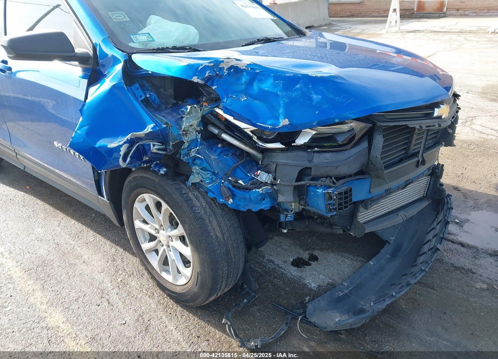 2019 CHEVROLET EQUINOX LS VIN: 3GNAXHEV0KS513304