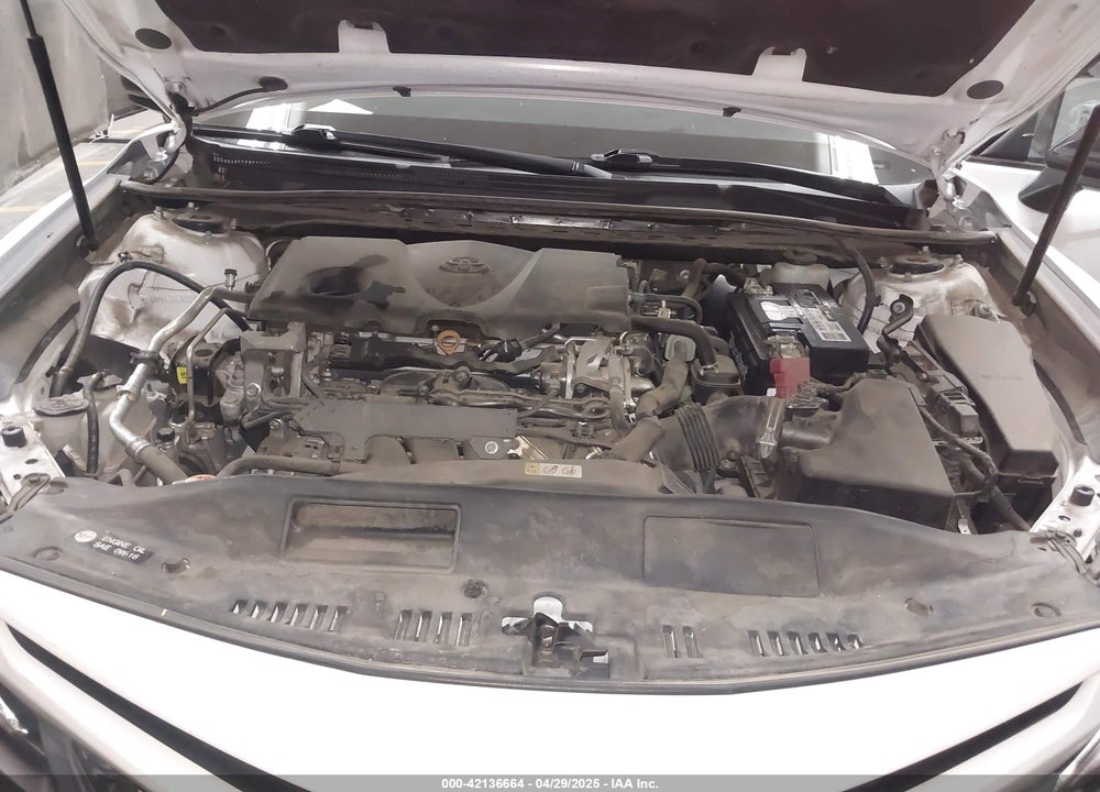 2019 TOYOTA CAMRY SE VIN: 4T1B11HK4KU262869