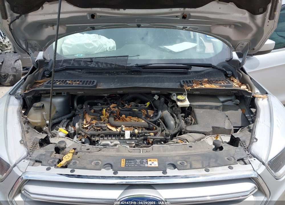 2019 FORD ESCAPE VIN: 1FMCU0GD3KUA40915