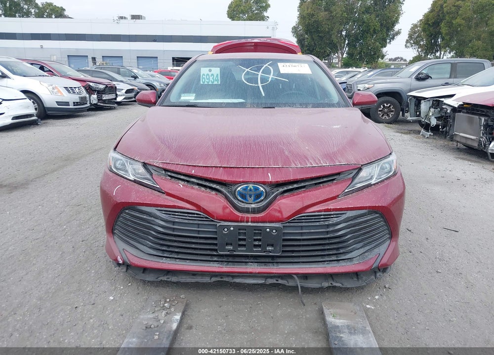 2020 TOYOTA CAMRY VIN: 4T1C31AK7LU523566