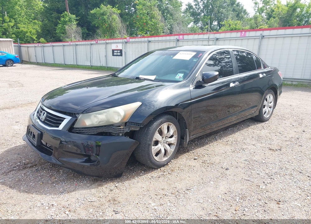 2010 HONDA ACCORD VIN: 1HGCP3F81AA012887