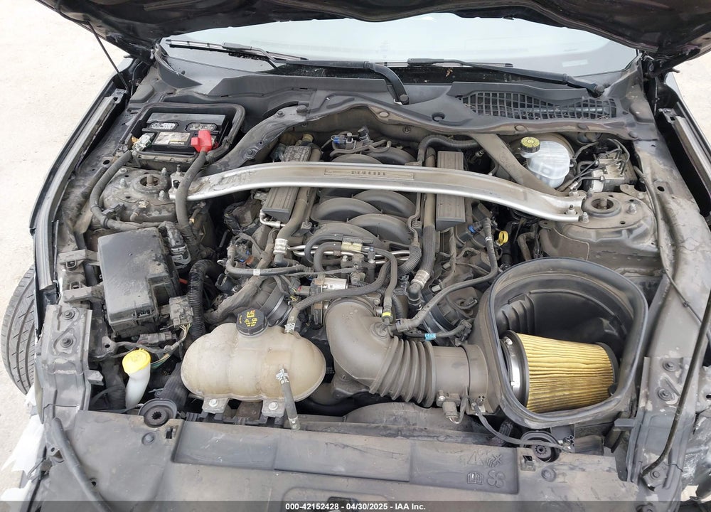 2019 FORD MUSTANG BULLITT VIN: 1FA6P8K08K5505359