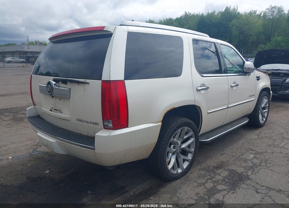 2010 CADILLAC ESCALADE LUXURY VIN: 1GYUKBEFXAR101977