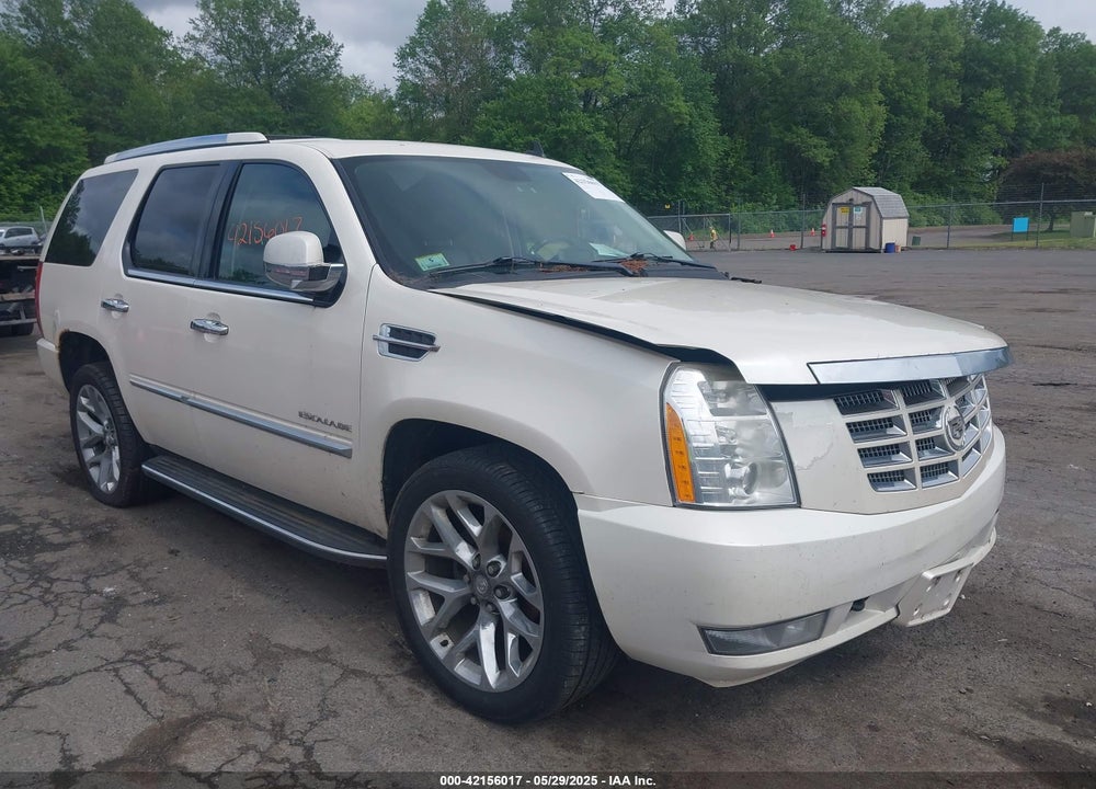 2010 CADILLAC ESCALADE LUXURY VIN: 1GYUKBEFXAR101977