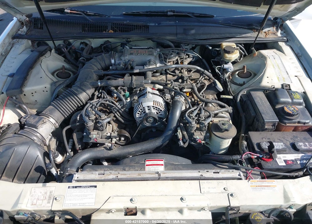 1997 FORD THUNDERBIRD LX VIN: 1FALP62W7VH154412