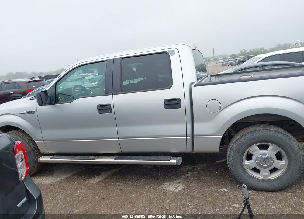 2009 FORD F-150 XLT VIN: 1FTRW12829KC54521