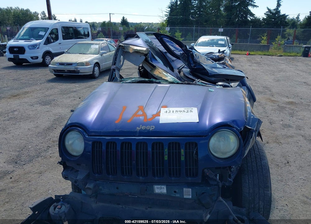 2002 JEEP LIBERTY LIMITED EDITION VIN: 1J8GL58K02W216495