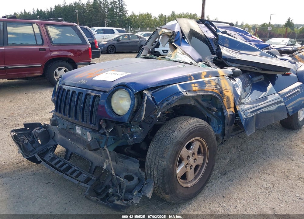 2002 JEEP LIBERTY LIMITED EDITION VIN: 1J8GL58K02W216495