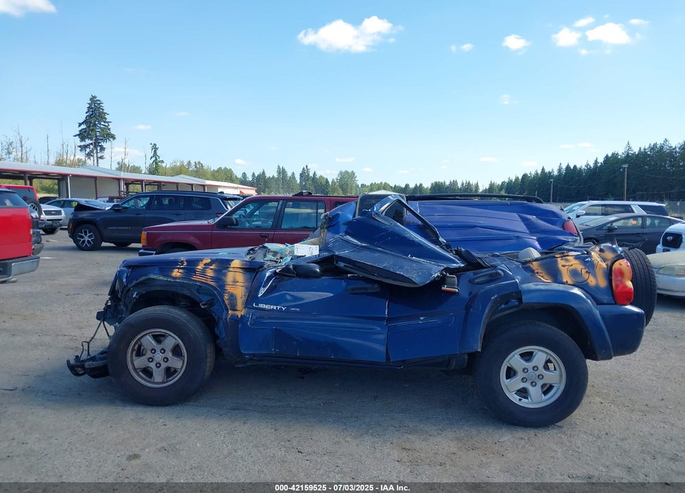 2002 JEEP LIBERTY LIMITED EDITION VIN: 1J8GL58K02W216495