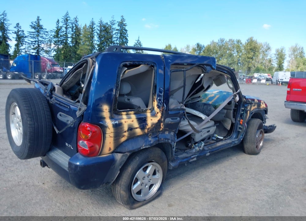 2002 JEEP LIBERTY LIMITED EDITION VIN: 1J8GL58K02W216495