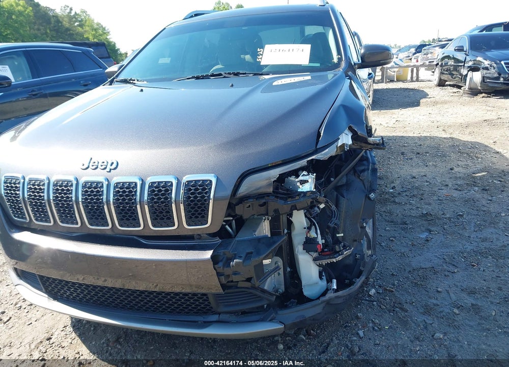 2019 JEEP CHEROKEE VIN: 1C4PJLDX1KD173431