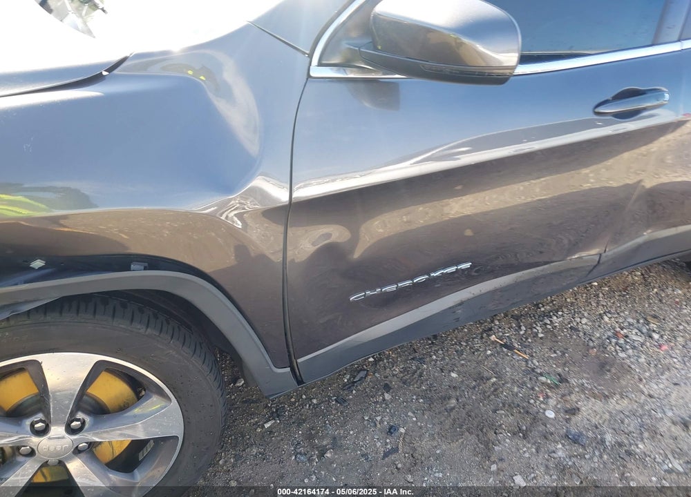 2019 JEEP CHEROKEE VIN: 1C4PJLDX1KD173431