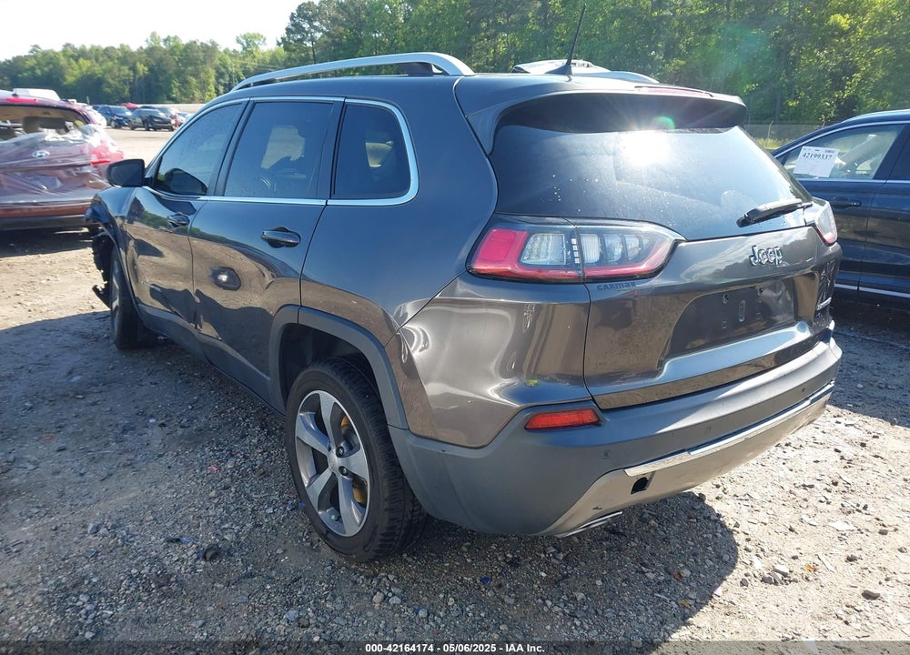 2019 JEEP CHEROKEE VIN: 1C4PJLDX1KD173431