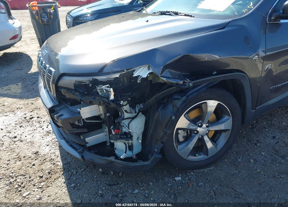 2019 JEEP CHEROKEE VIN: 1C4PJLDX1KD173431
