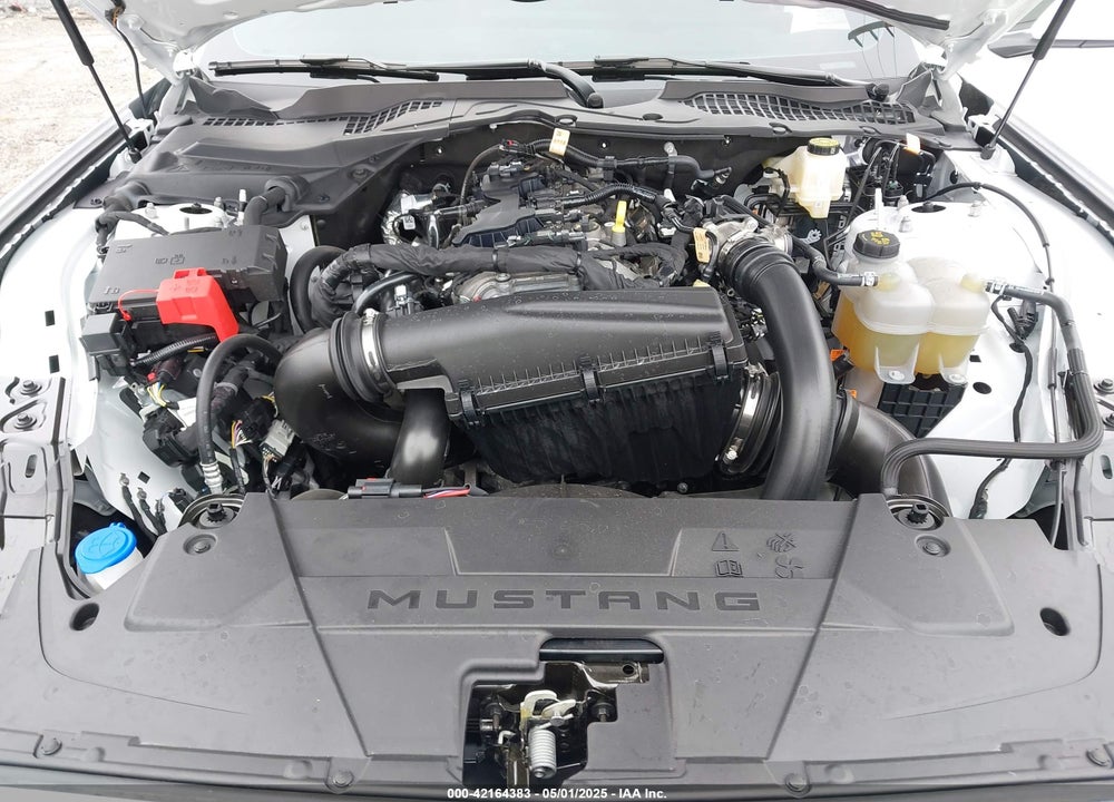 2024 FORD MUSTANG ECOBOOST FASTBACK VIN: 1FA6P8TH3R5109662