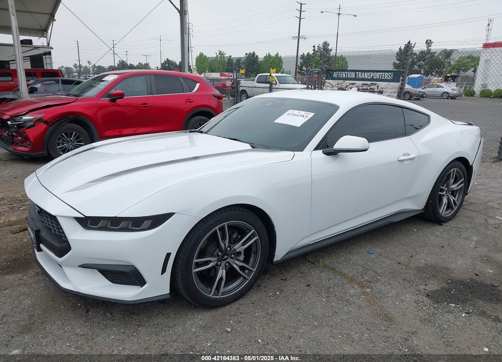 2024 FORD MUSTANG ECOBOOST FASTBACK VIN: 1FA6P8TH3R5109662
