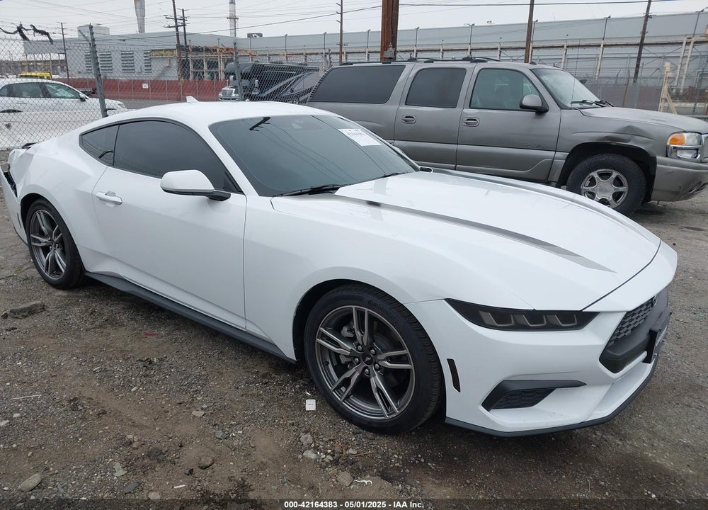 2024 FORD MUSTANG ECOBOOST FASTBACK VIN: 1FA6P8TH3R5109662