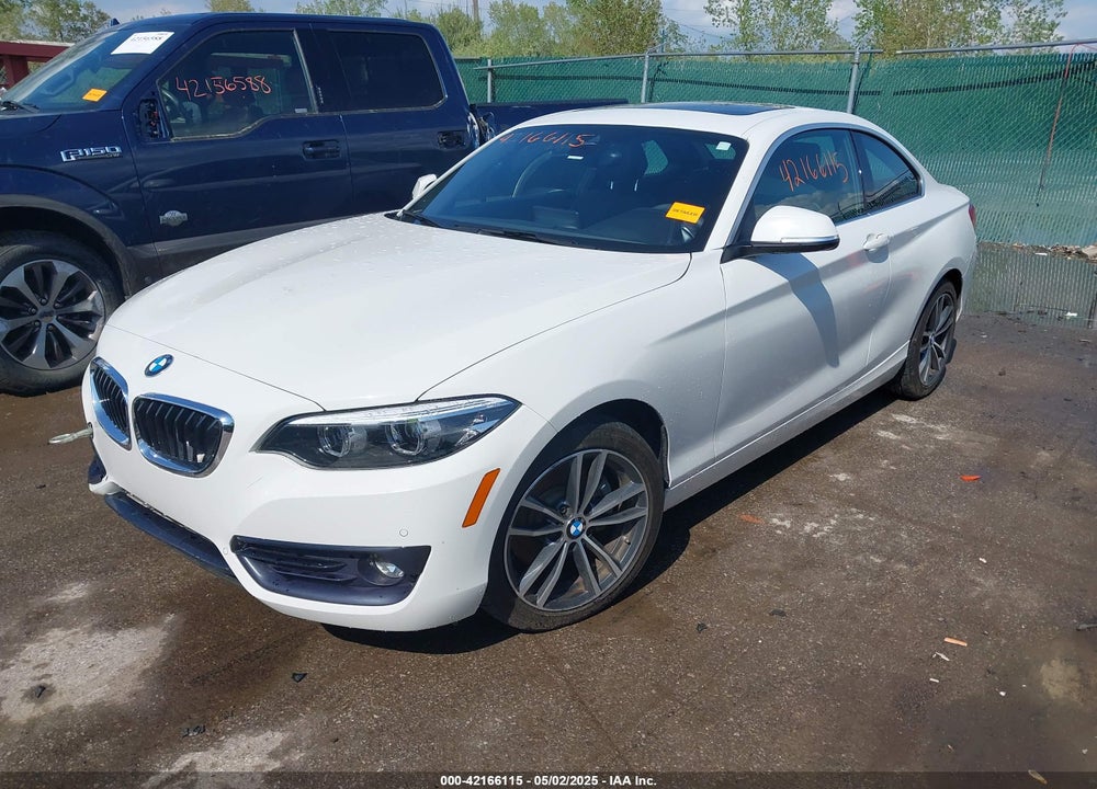 2019 BMW 230I XDRIVE VIN: WBA2J3C53KVD49223