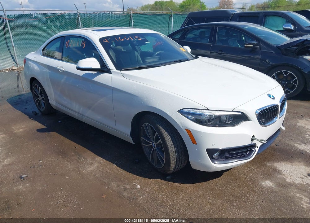 2019 BMW 230I XDRIVE VIN: WBA2J3C53KVD49223