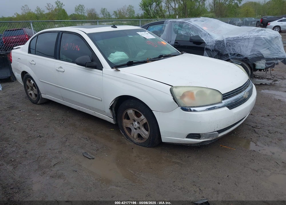 2004 CHEVROLET MALIBU LT VIN: 1G1ZU54834F119293
