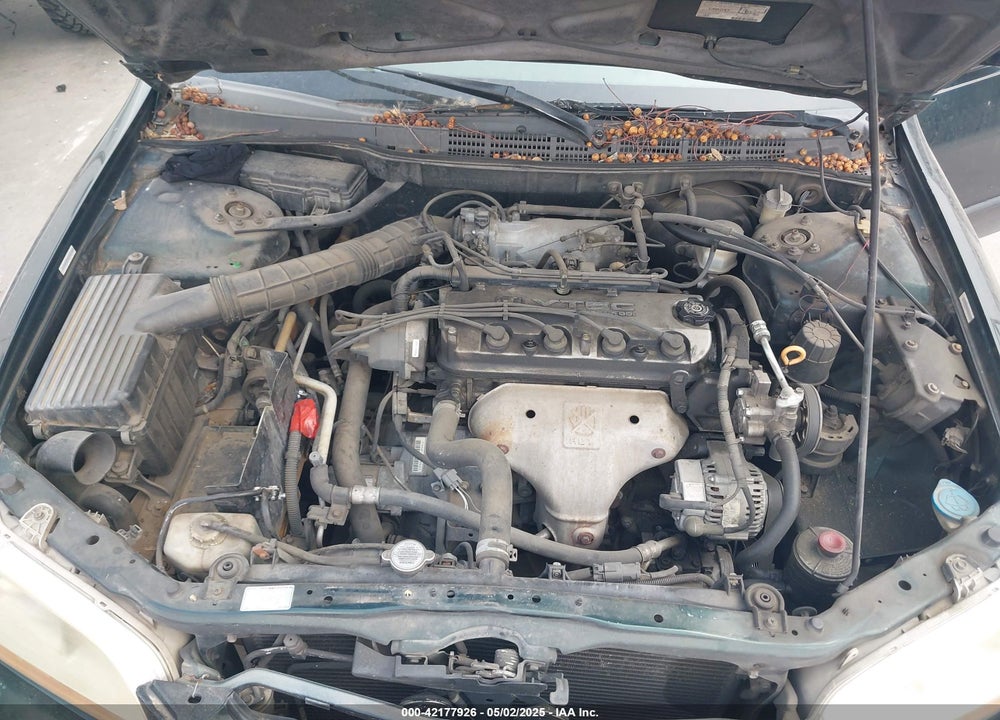 1999 HONDA ACCORD LX VIN: JHMCG5548XC046166