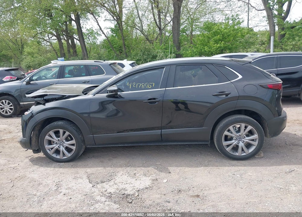 2023 MAZDA CX-30 VIN: 3MVDMBBM6PM554733