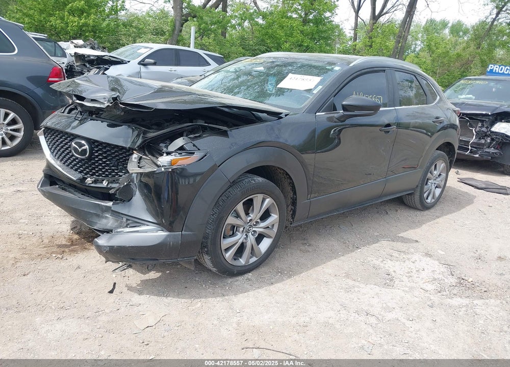 2023 MAZDA CX-30 VIN: 3MVDMBBM6PM554733