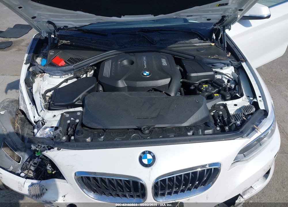 2017 BMW 230I VIN: WBA2F9C36HV983909
