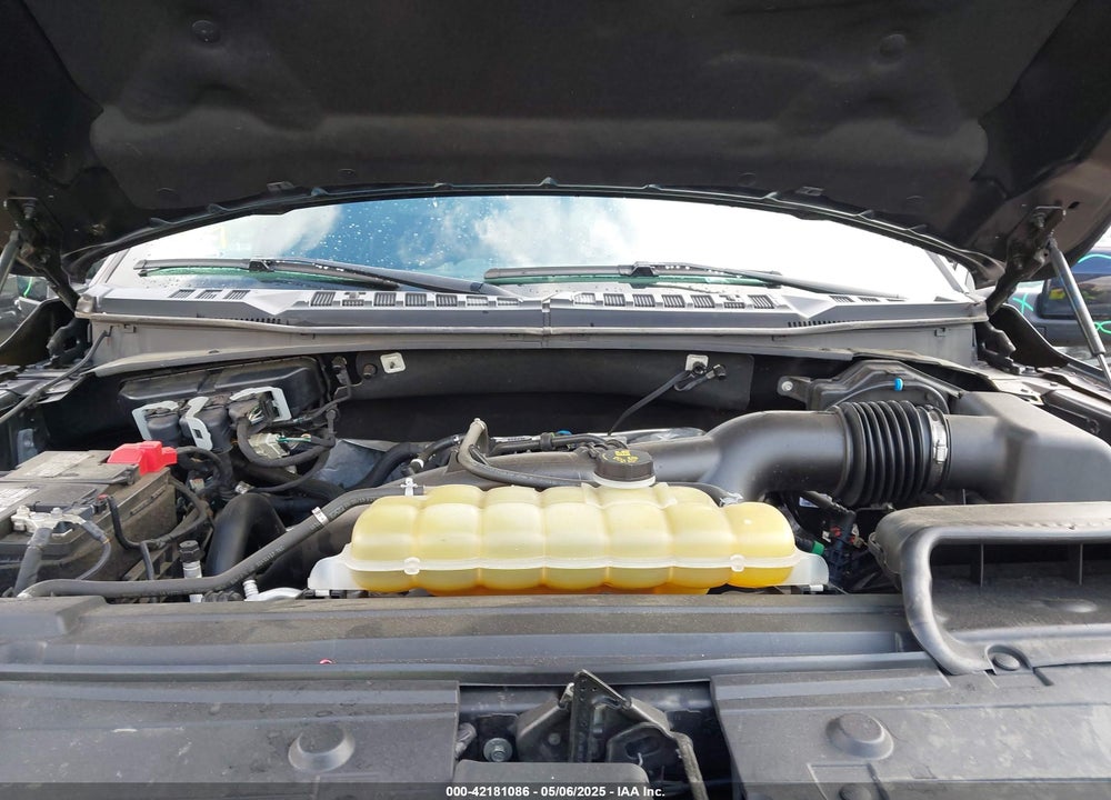 2019 FORD F-150 VIN: 1FTEW1EP1KKF23440