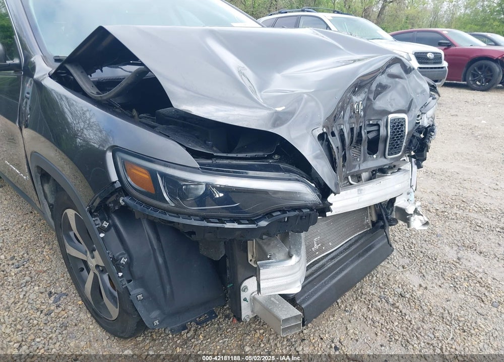 2019 JEEP CHEROKEE VIN: 1C4PJLDB8KD144495