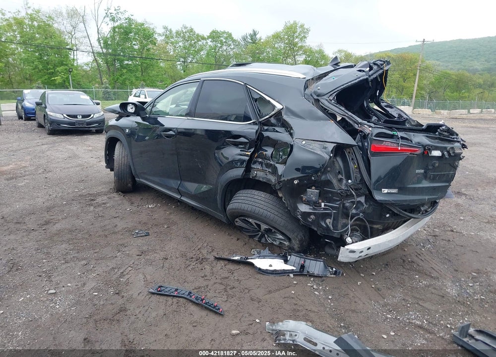 2019 LEXUS NX 300 F-SPORT VIN: JTJBARBZ7K2205471