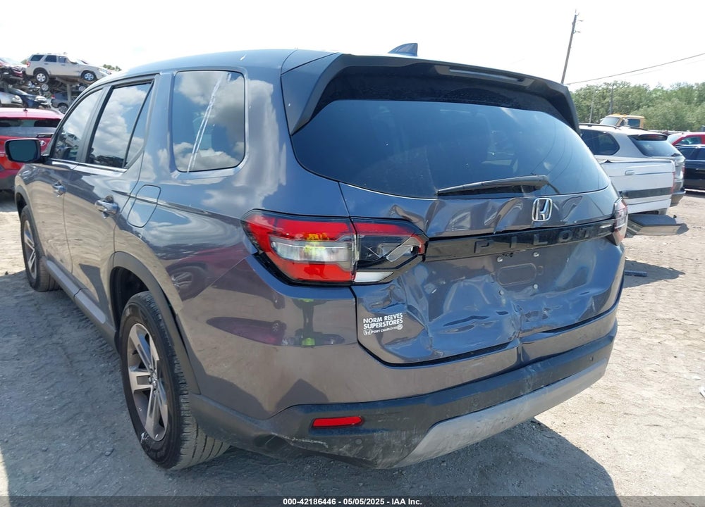 2024 HONDA PILOT VIN: 5FNYG2H5XRB001827