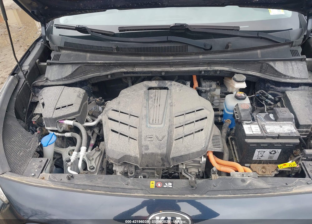 2019 KIA NIRO EV VIN: KNDCC3LG5K5020989