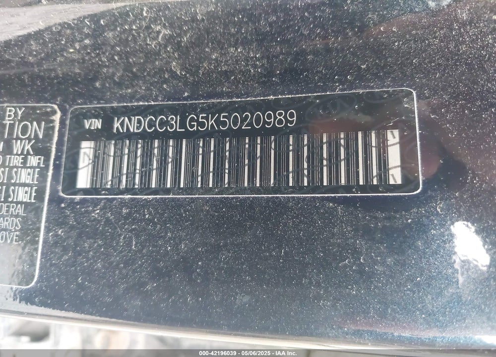2019 KIA NIRO EV VIN: KNDCC3LG5K5020989