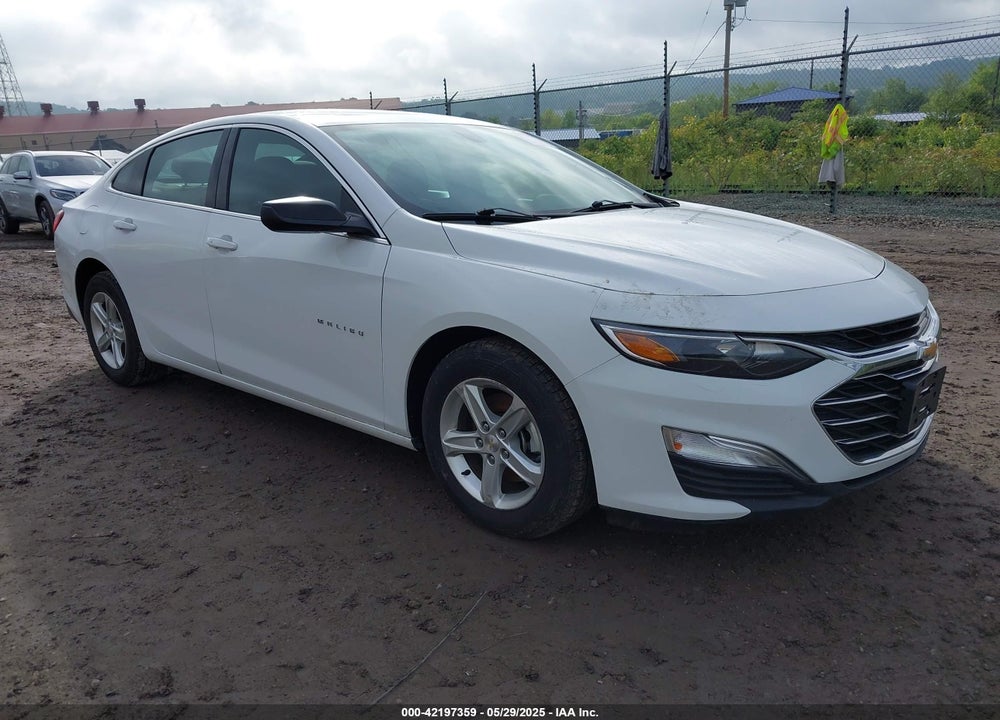 2019 CHEVROLET MALIBU 1FL VIN: 1G1ZC5ST3KF114425